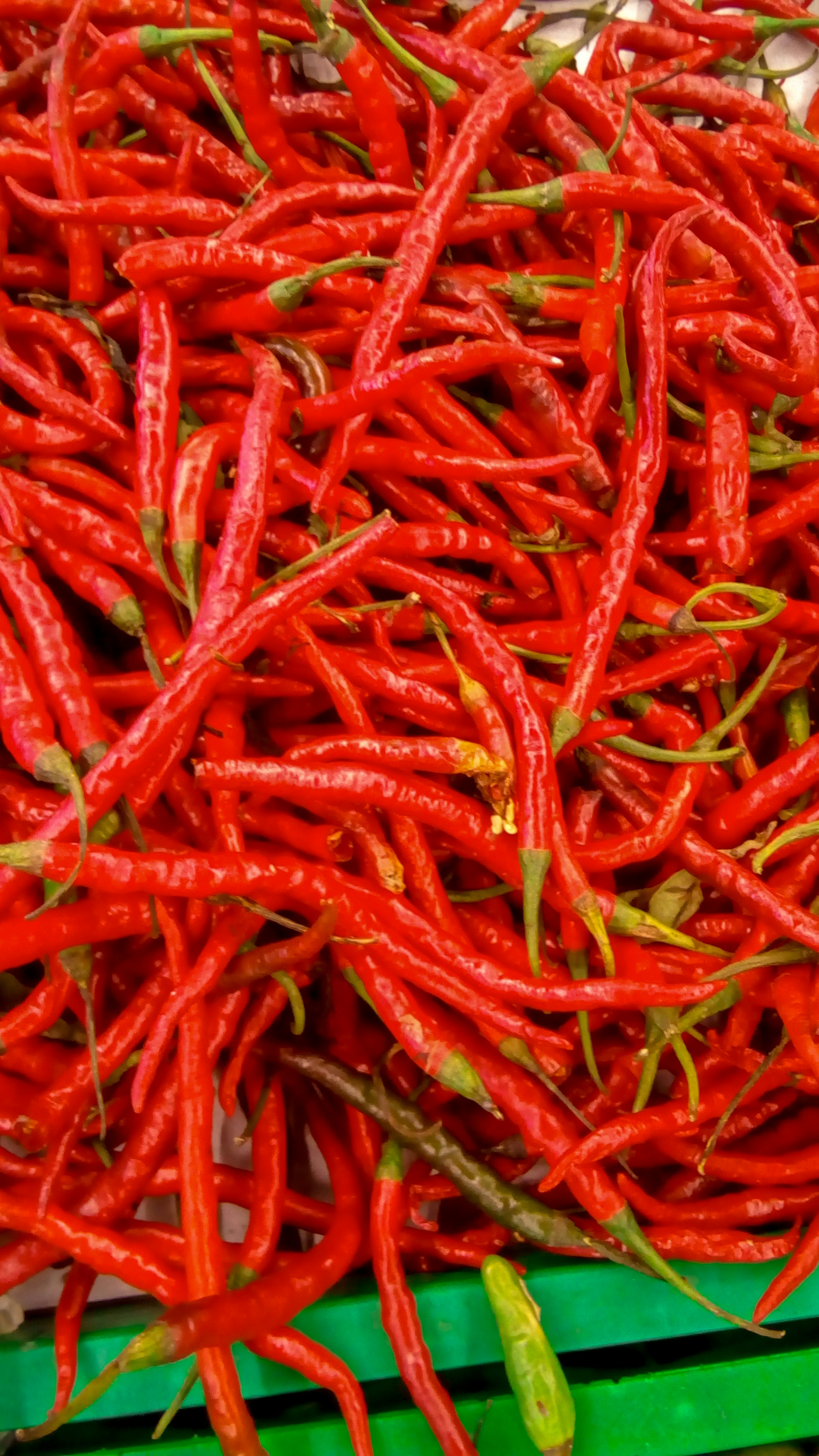 Photo by urenthusiast