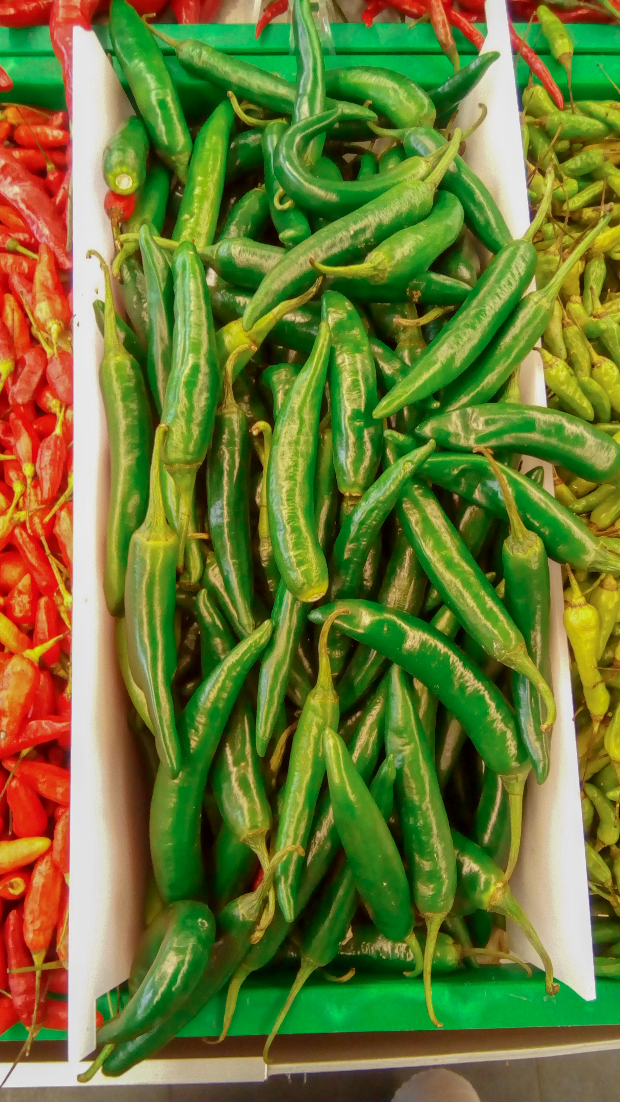Fresh green chillies for export