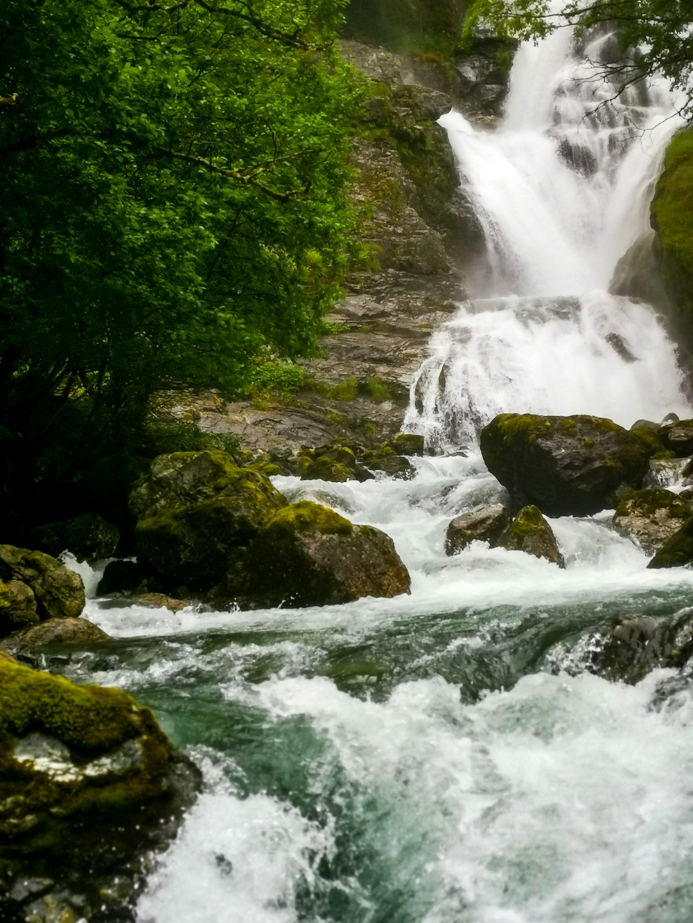 waterfalls near green-leafed plants