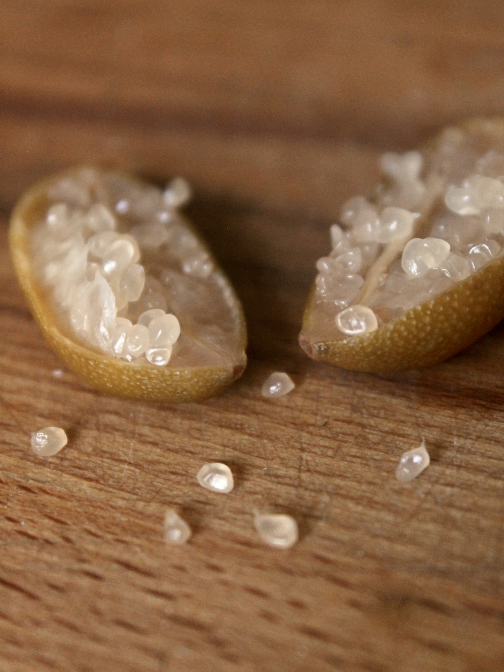 selective focus photography of open brown fruit