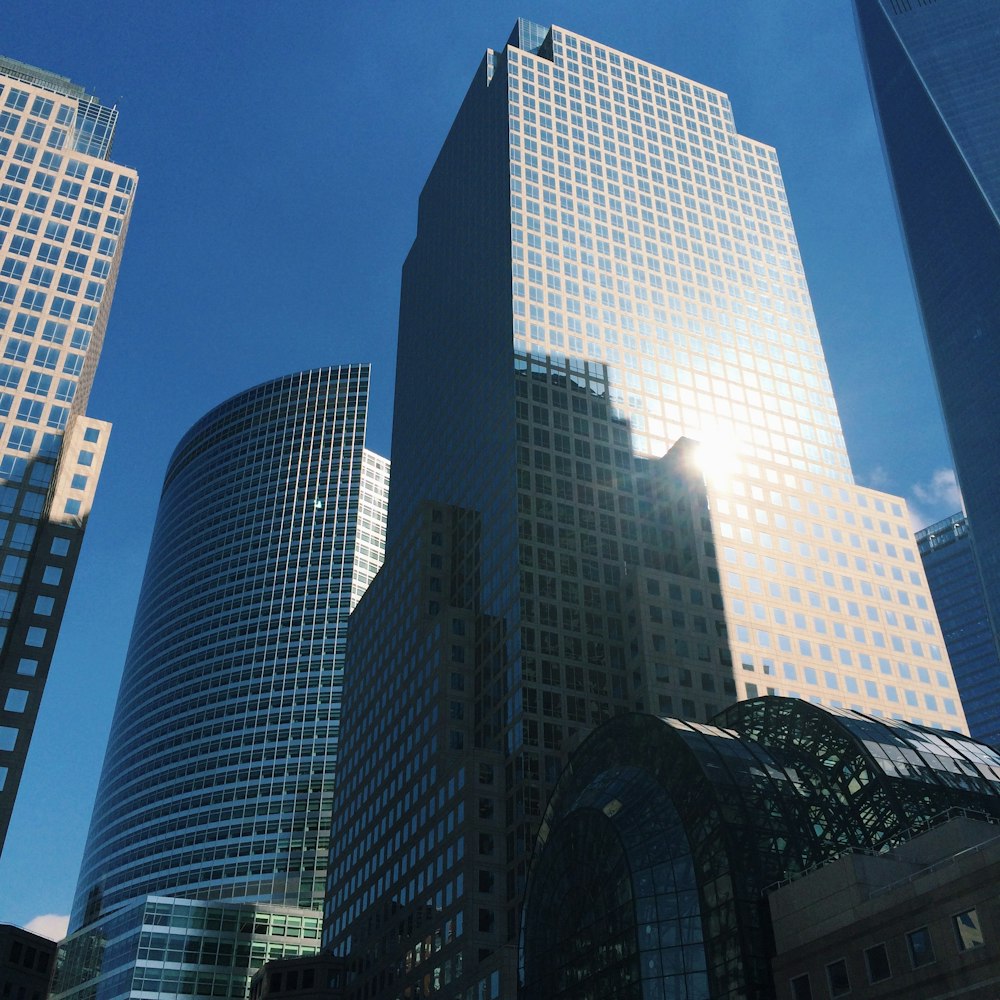 architectural photo of white-and-blue buildings