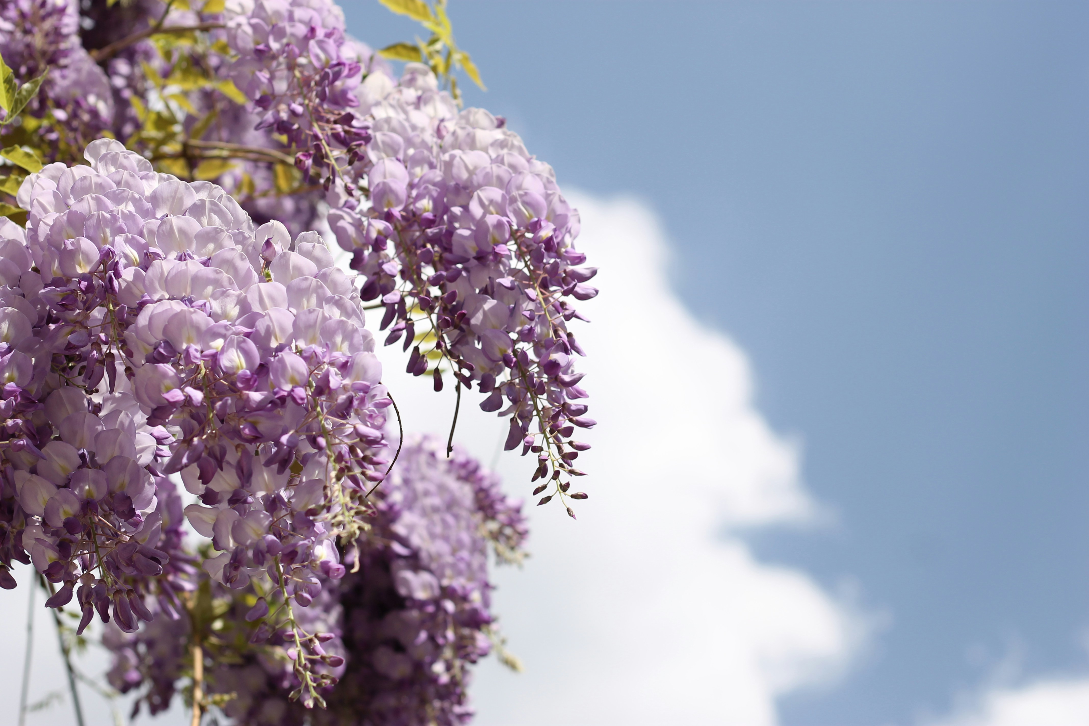 Photo by themiscellanista