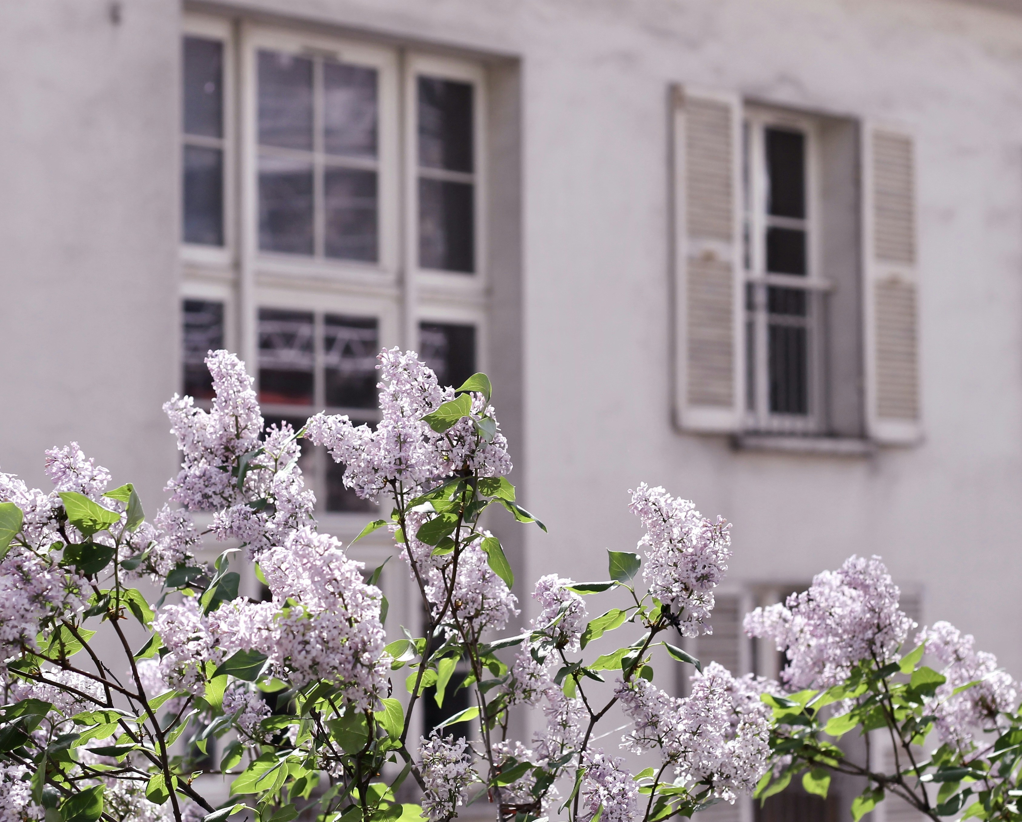 Photo by themiscellanista