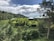 A lush landscape featuring well-manicured hedges forming intricate patterns in the foreground. A house with a green roof is surrounded by various types of vegetation, including trees and shrubs. In the background, rolling hills rise under a partly cloudy sky.
