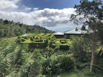 A lush landscape featuring well-manicured hedges forming intricate patterns in the foreground. A house with a green roof is surrounded by various types of vegetation, including trees and shrubs. In the background, rolling hills rise under a partly cloudy sky.