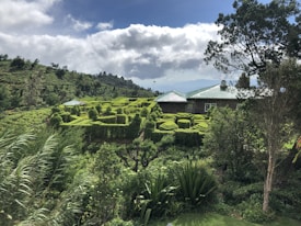 A lush landscape featuring well-manicured hedges forming intricate patterns in the foreground. A house with a green roof is surrounded by various types of vegetation, including trees and shrubs. In the background, rolling hills rise under a partly cloudy sky.