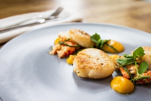Seared Scallops Delight