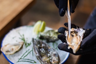 A gloved hand holding an oyster being shucked with a small knife over a platter with several other oysters on ice. There are slices of lime and some thin green herbs on the ice.