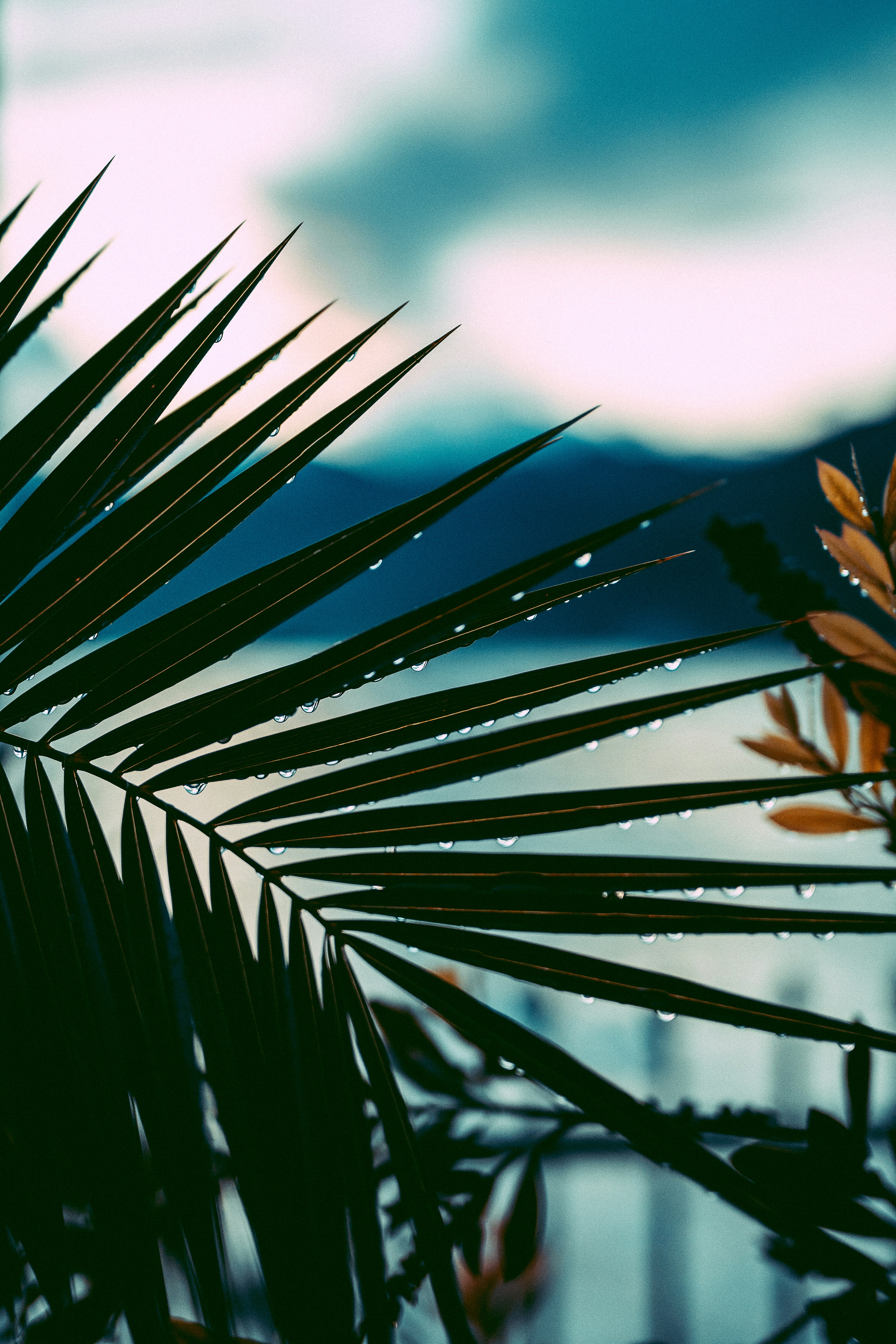 Photo by mikafinland