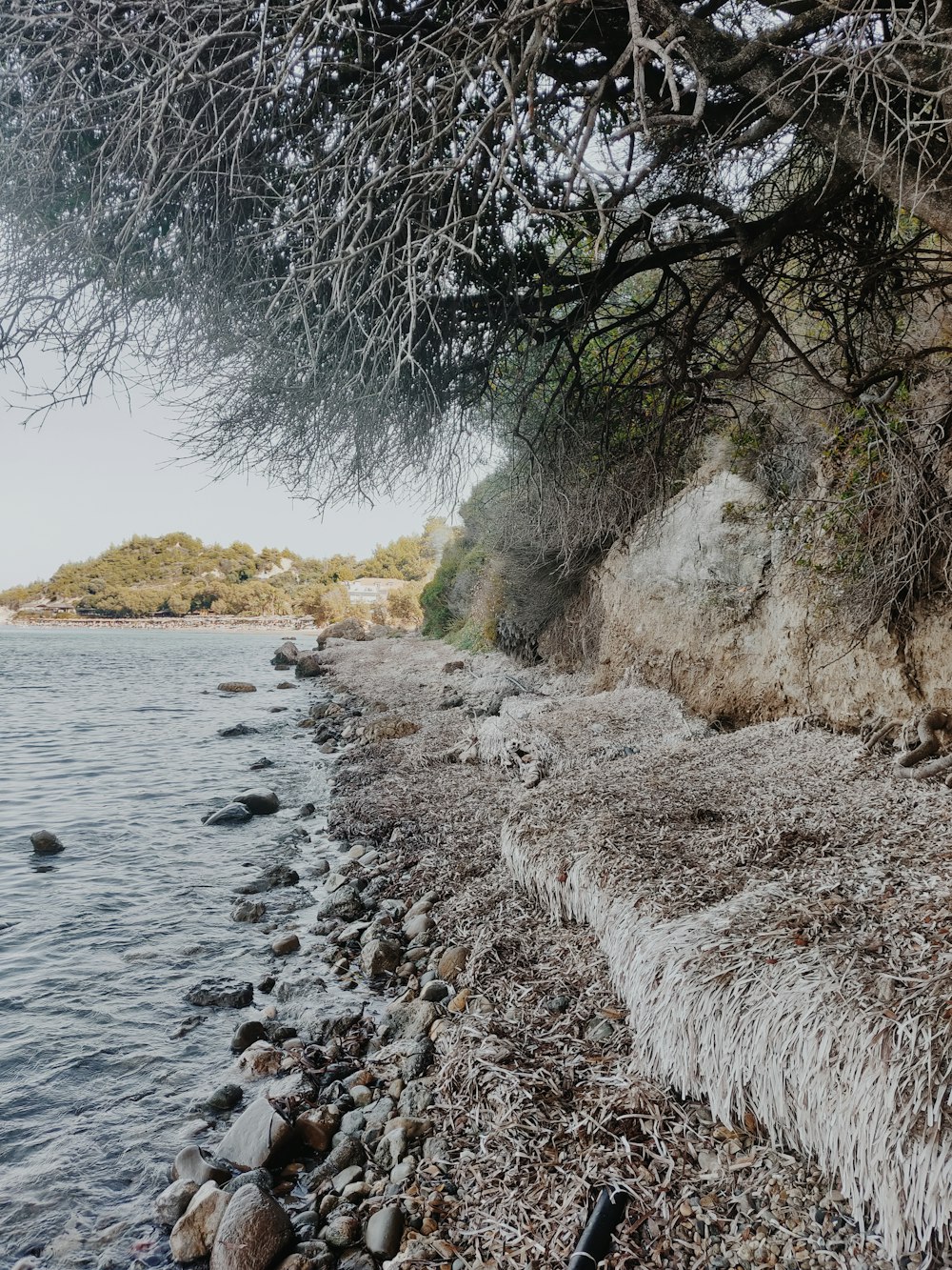 rock formations near body of water durin gdaytime