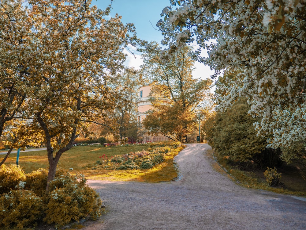 green-leafed trees