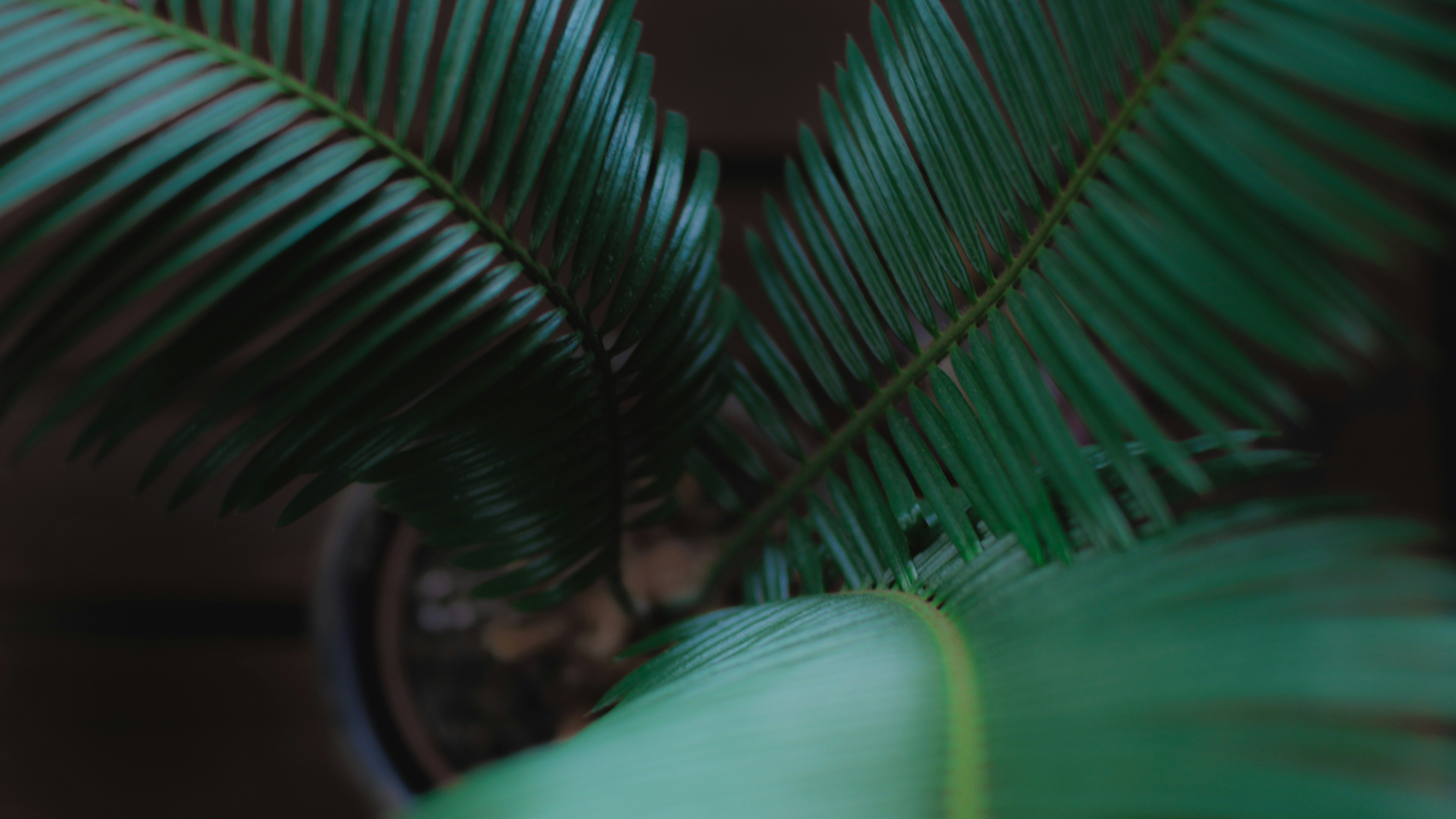 Photo by joackimweiler