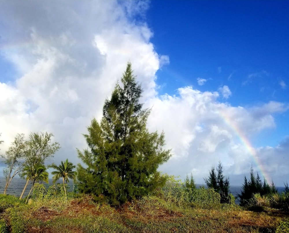 arco iris sobre nubes blancas