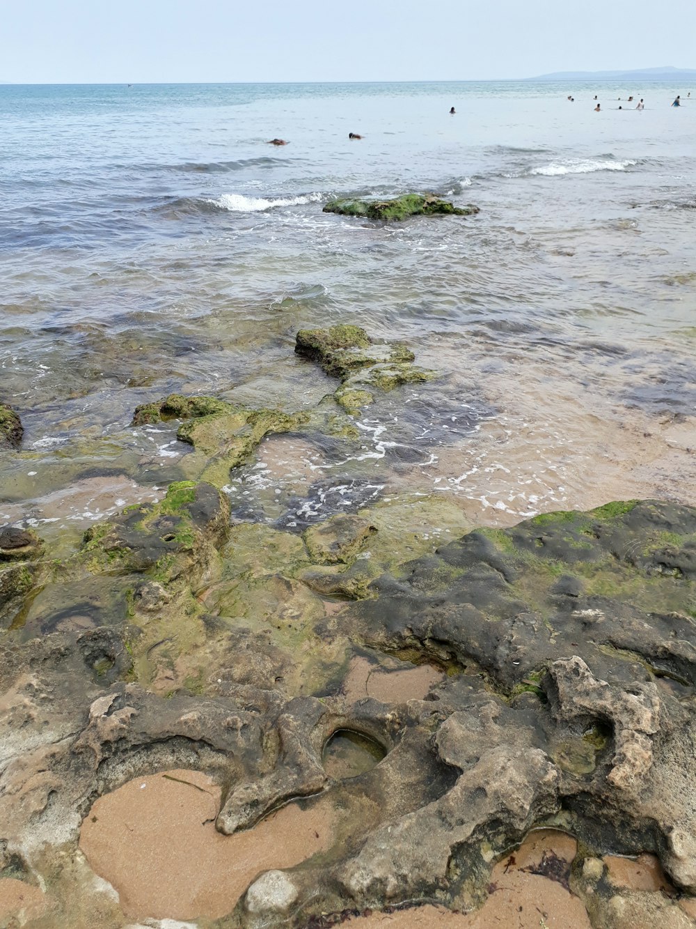 ocean view during daytime