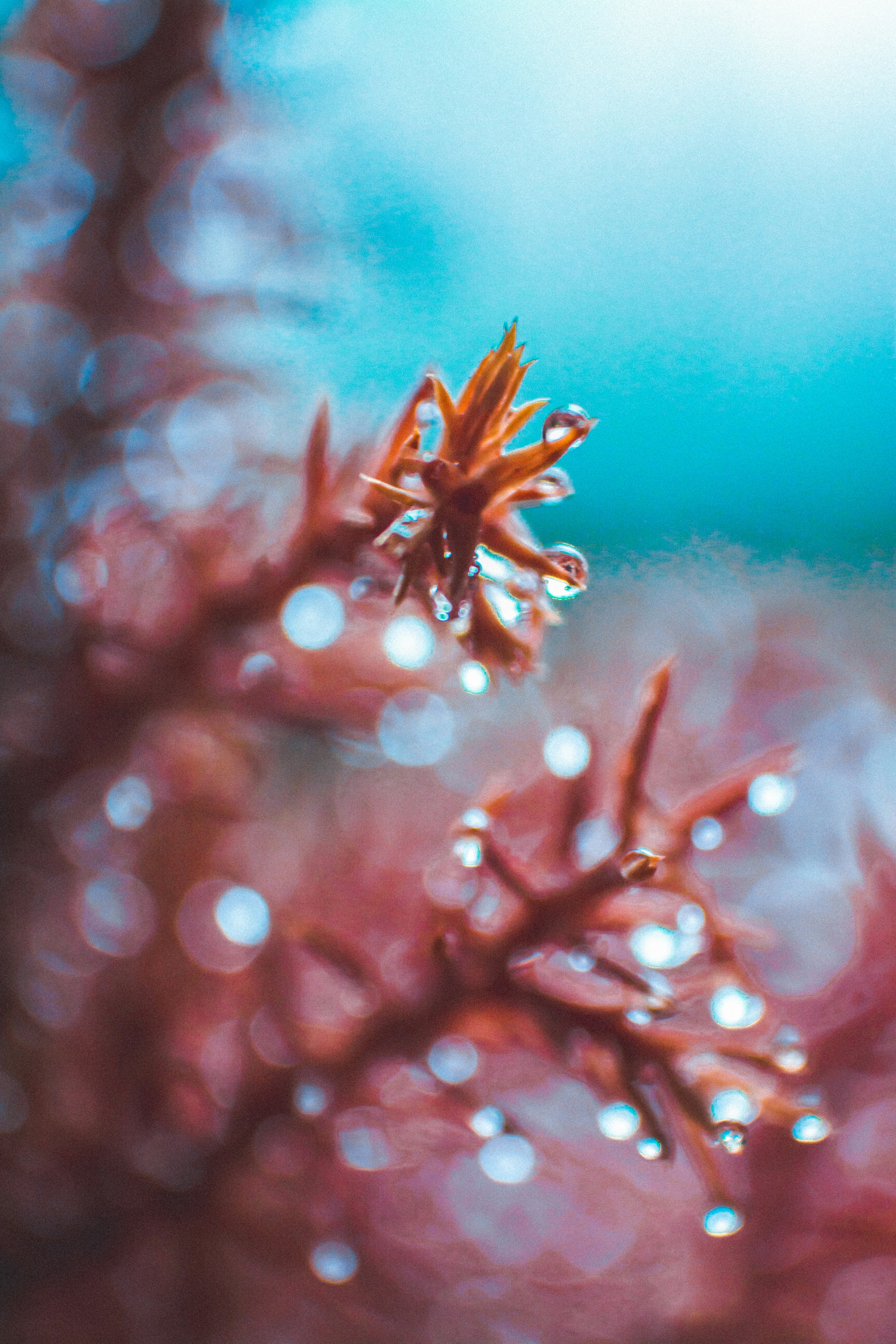 Photo by akshar_dave