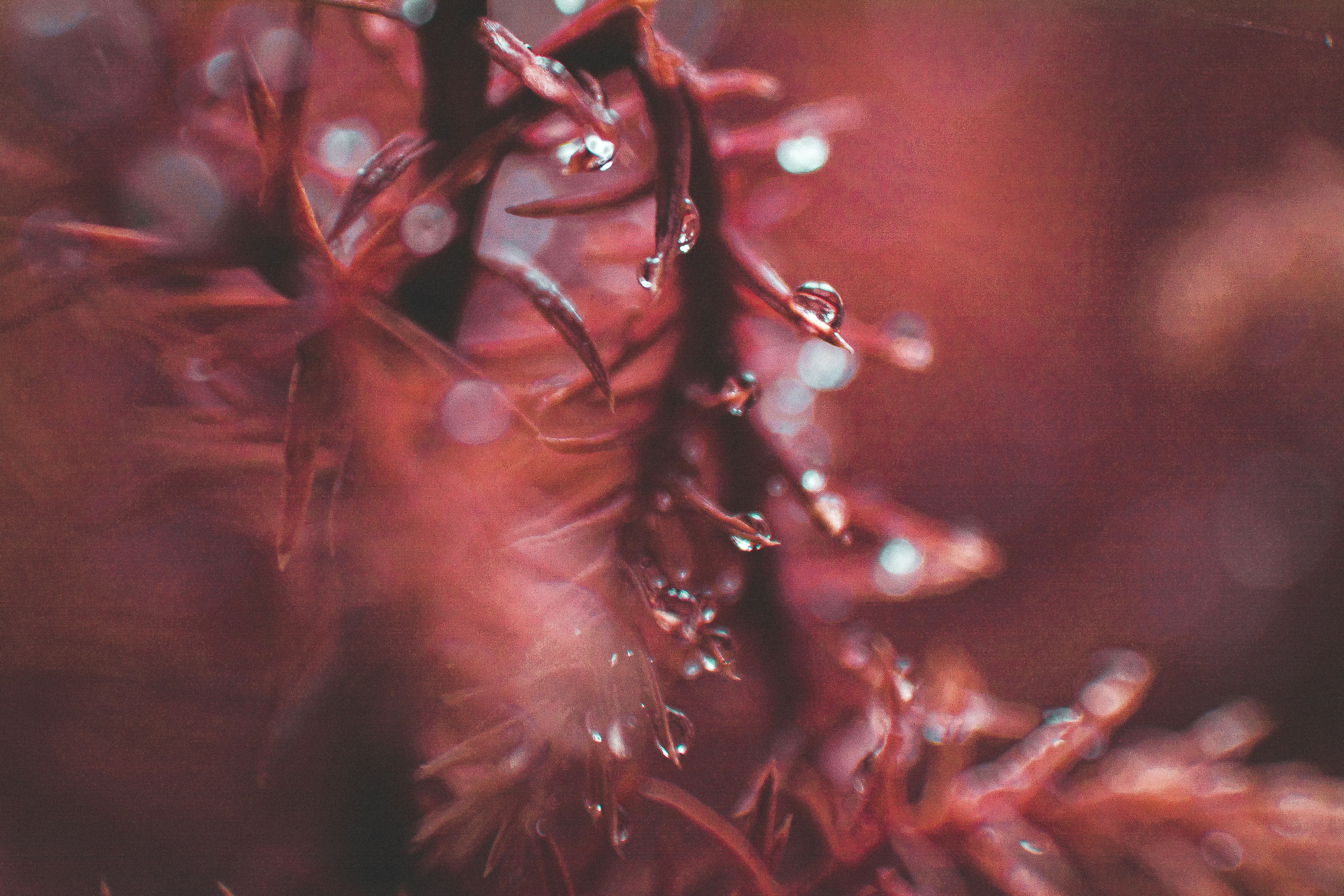 Photo by akshar_dave