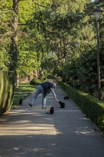 A person wearing a hat and blue clothing is reaching down to interact with several black cats on a tree-lined path in a park. The path is bordered by manicured hedges and illuminated by vintage-style street lamps. Tall trees arch over the path, casting dappled shadows on the ground.