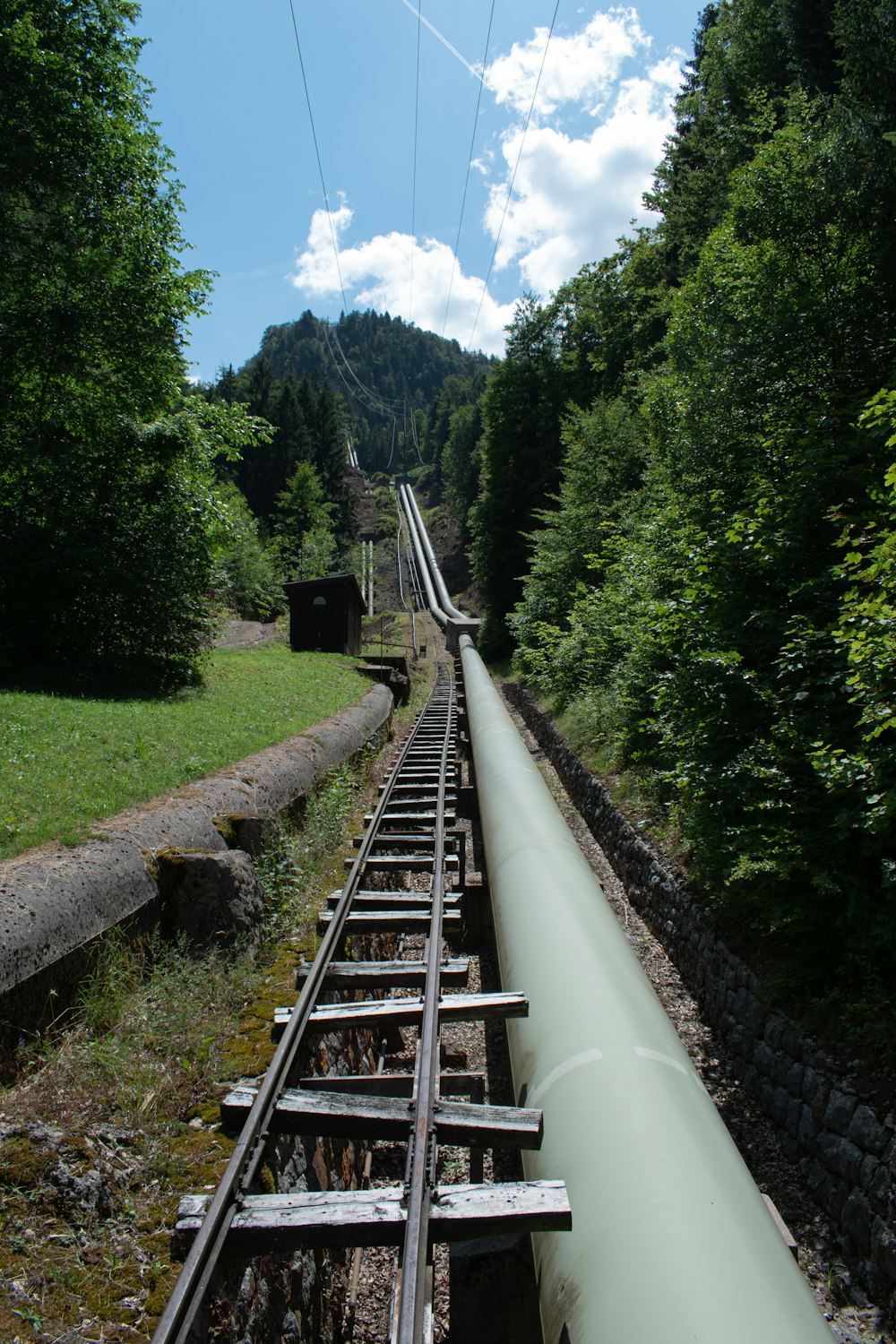 brown wooden railings