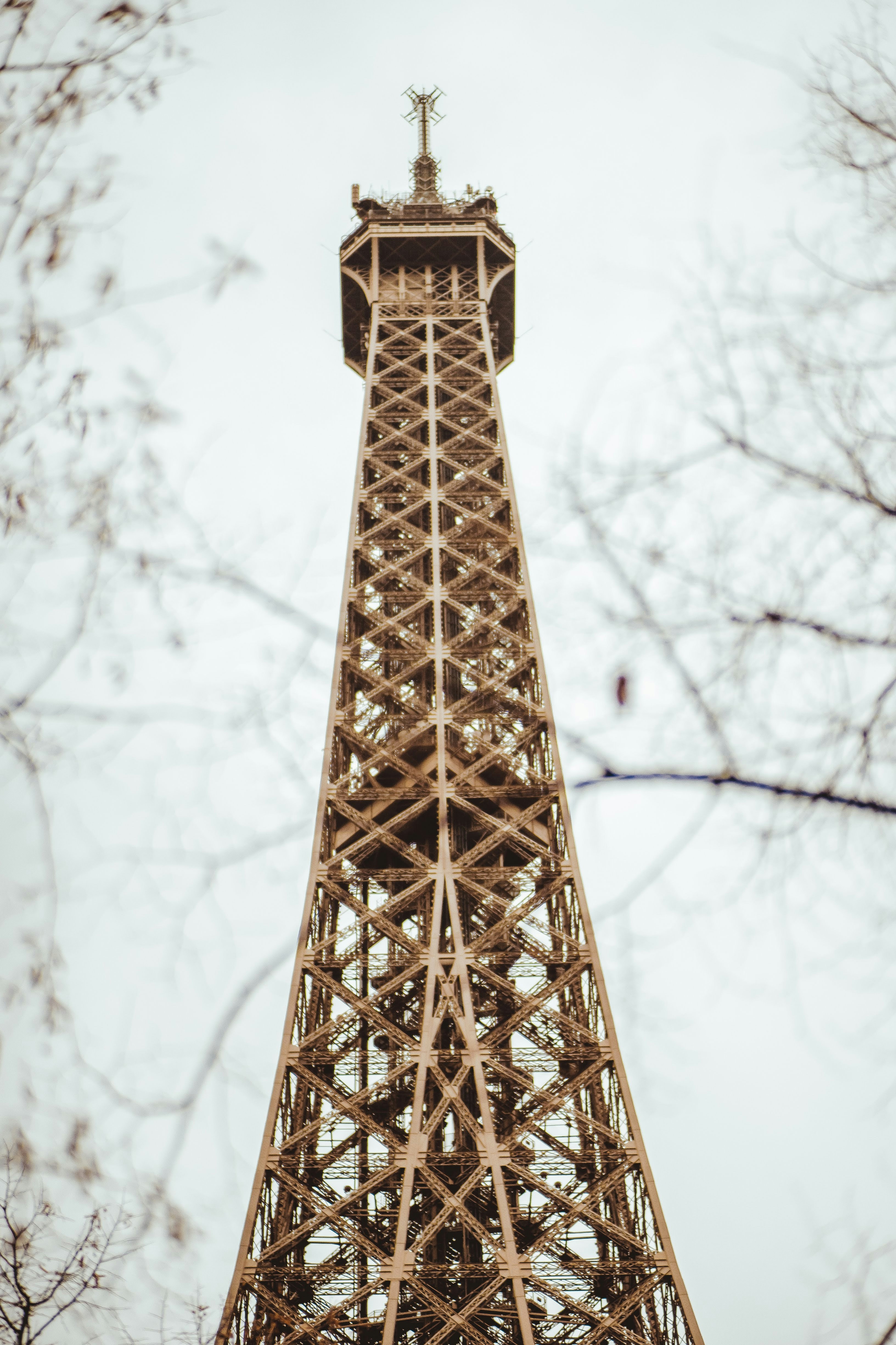 Photo by lucadpphoto