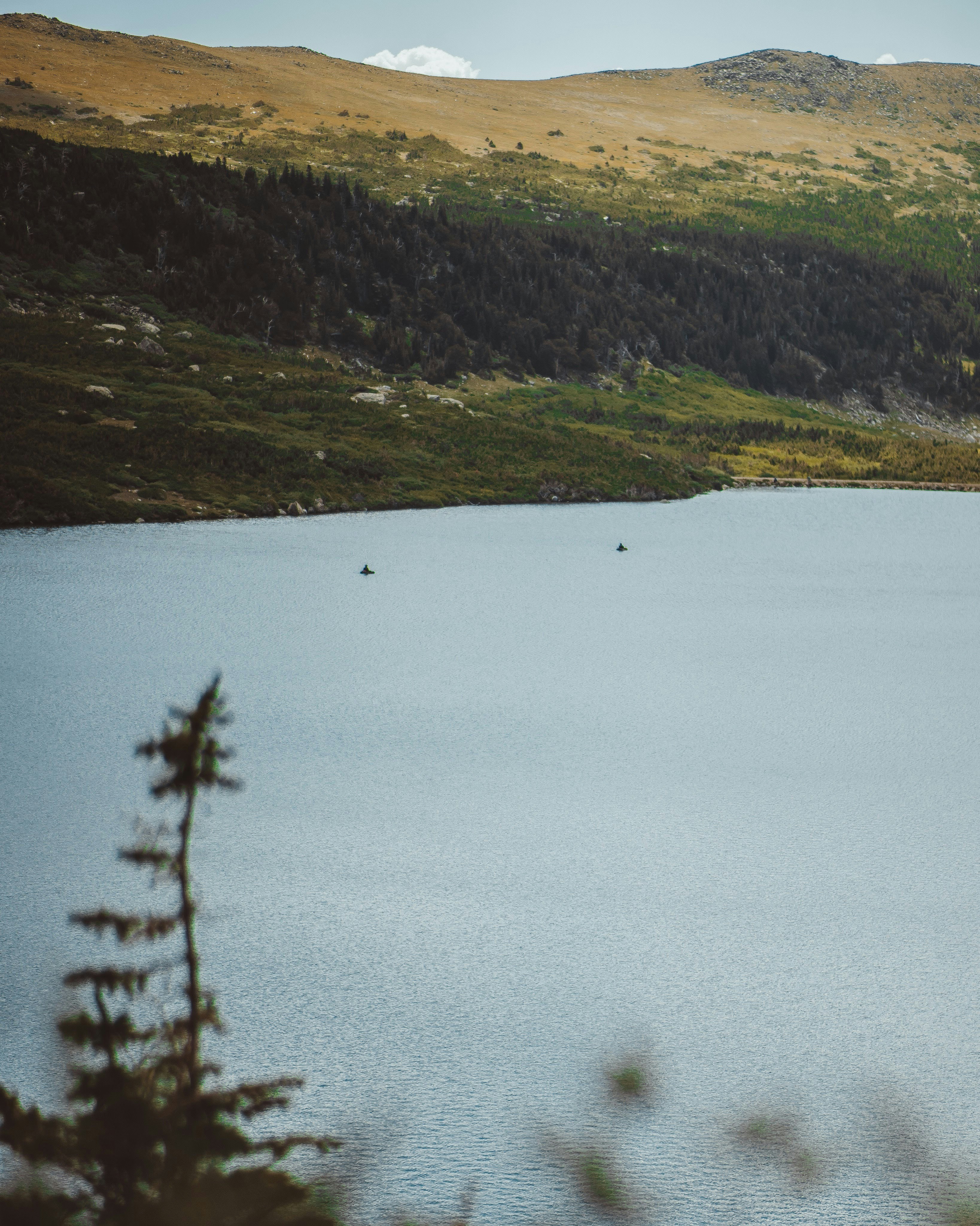 Photo by lucadpphoto