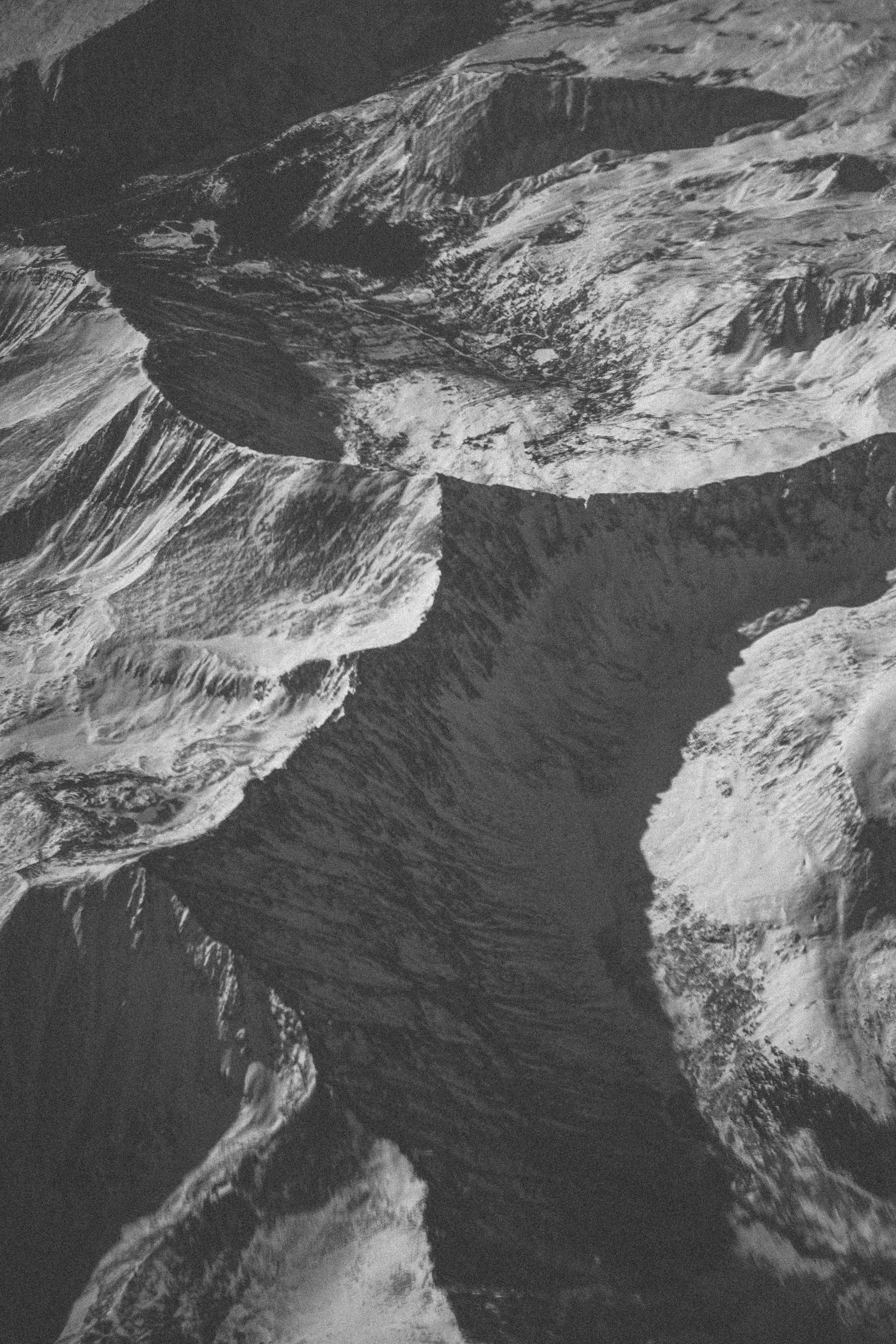 Photo by lucadpphoto