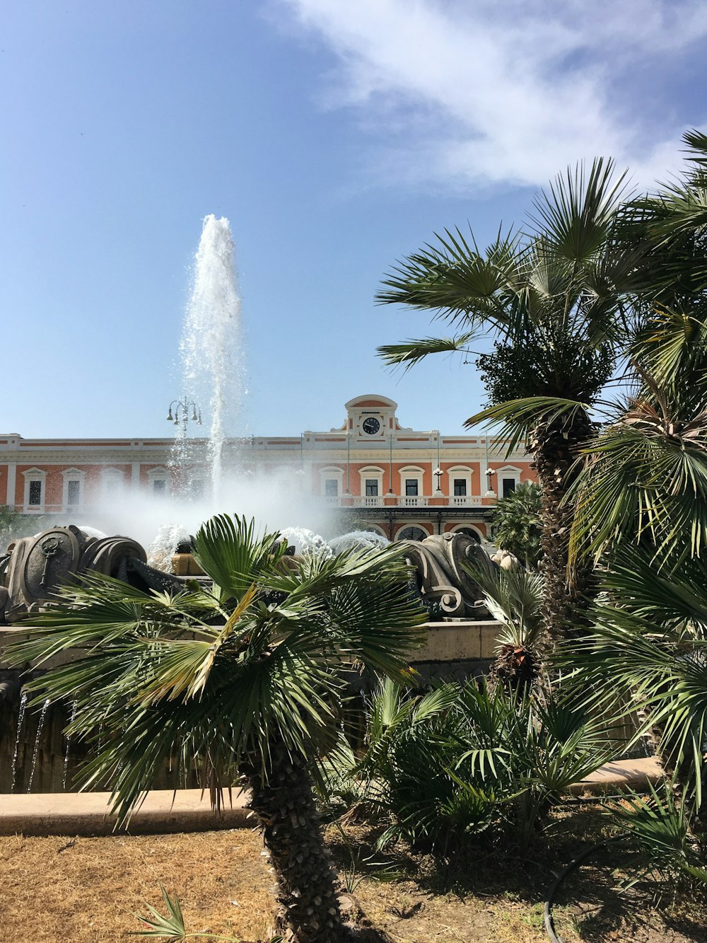 water fountain beside palm trees