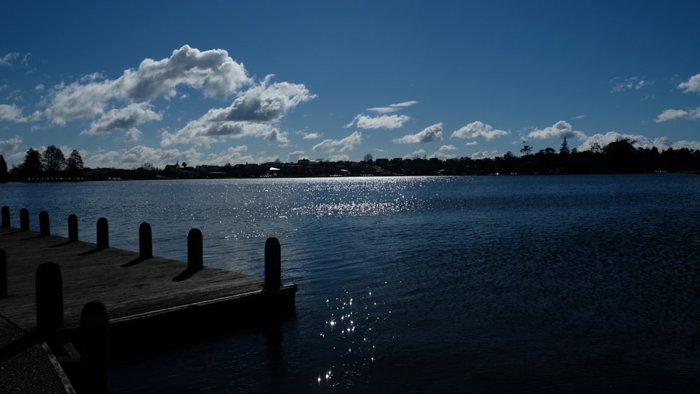 brown wooden boardwalk during daytime