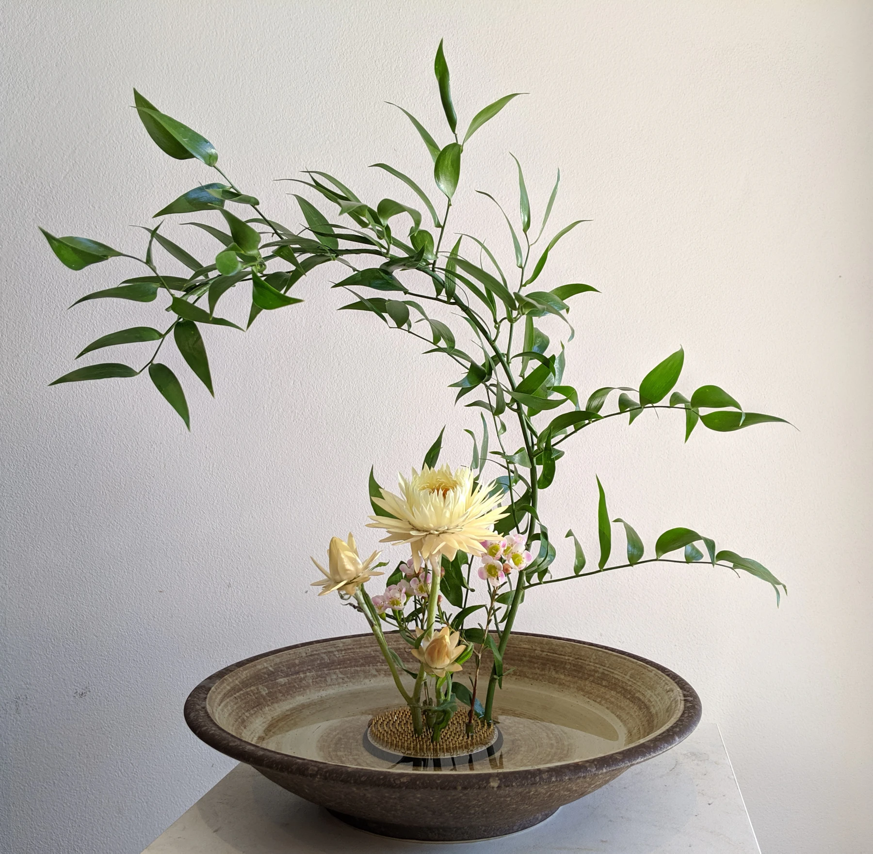 An arching leafy branch and pale chrysanthemums standing on a pin holder in a shallow stoneware dish of water