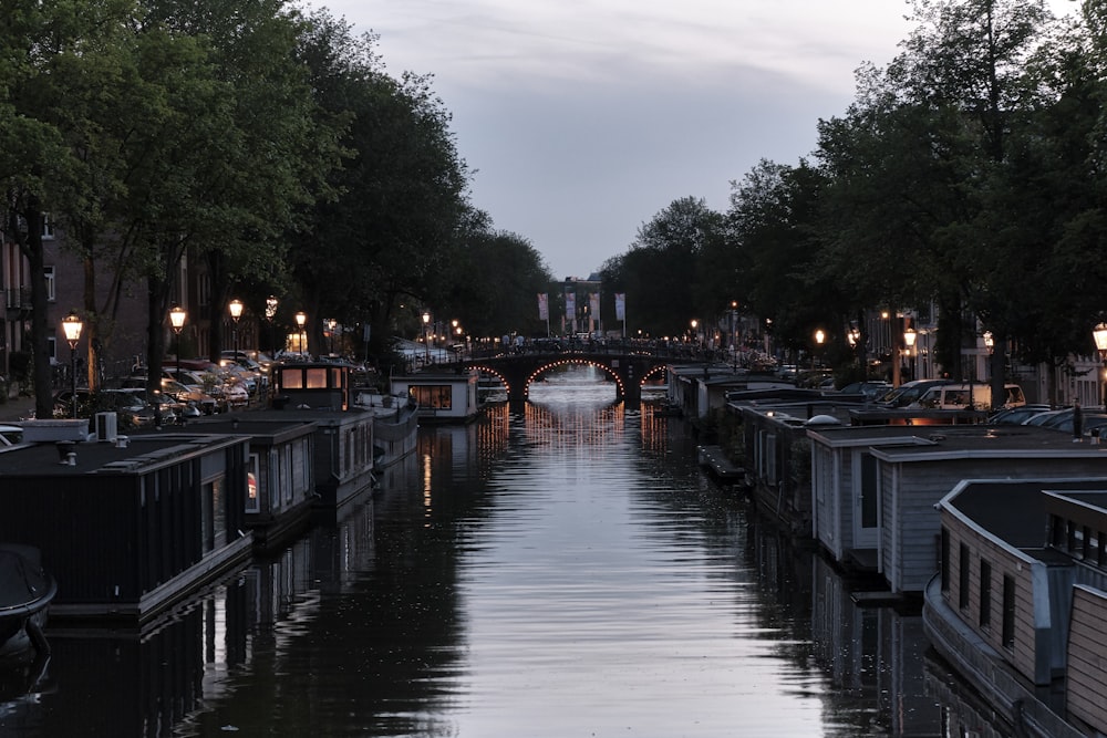 houses with lights on body of water