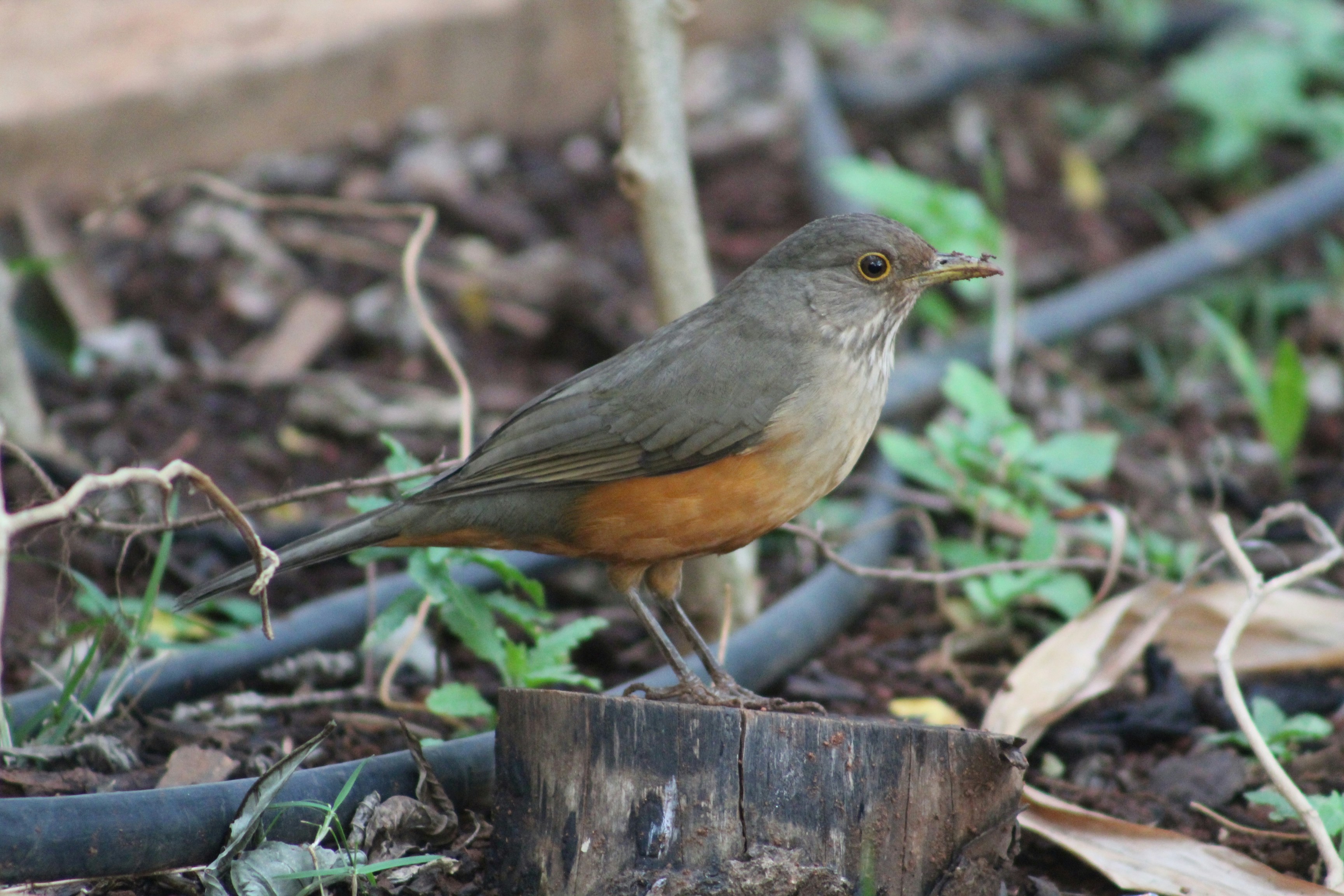 Photo by carmelita_rodrigues