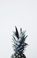 pineapple fruit