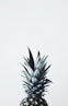 pineapple fruit