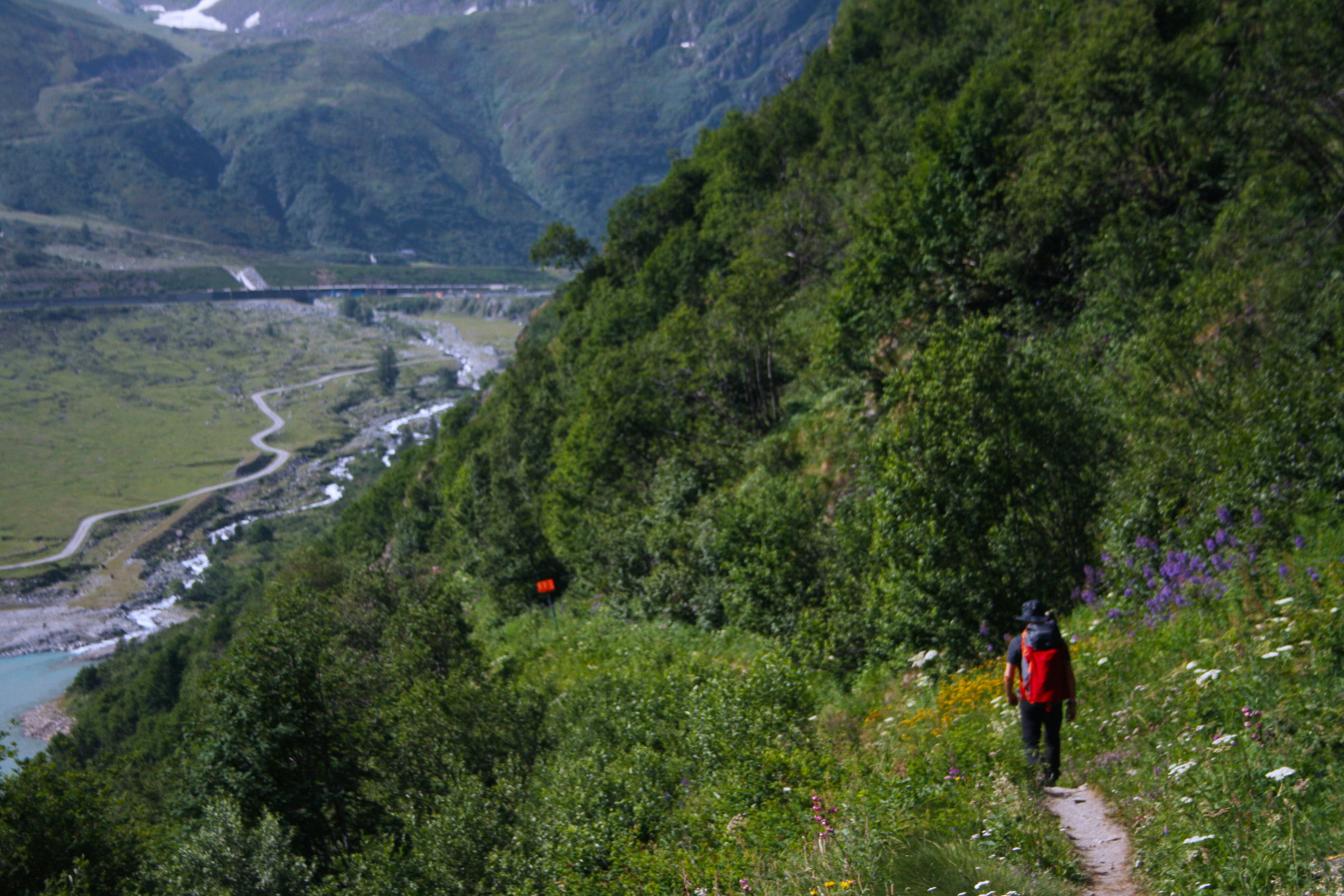 person walking on pathway during daytime