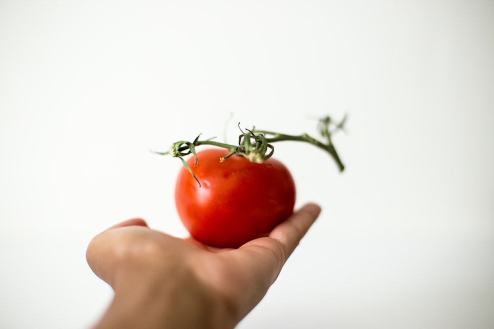 red tomato on person's palm