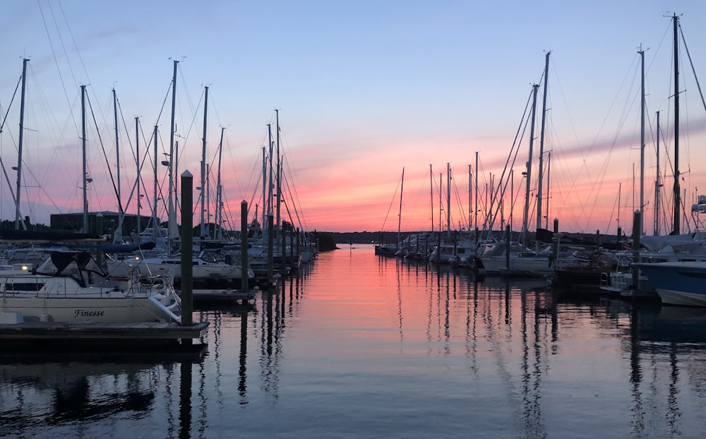 white sailboat lot