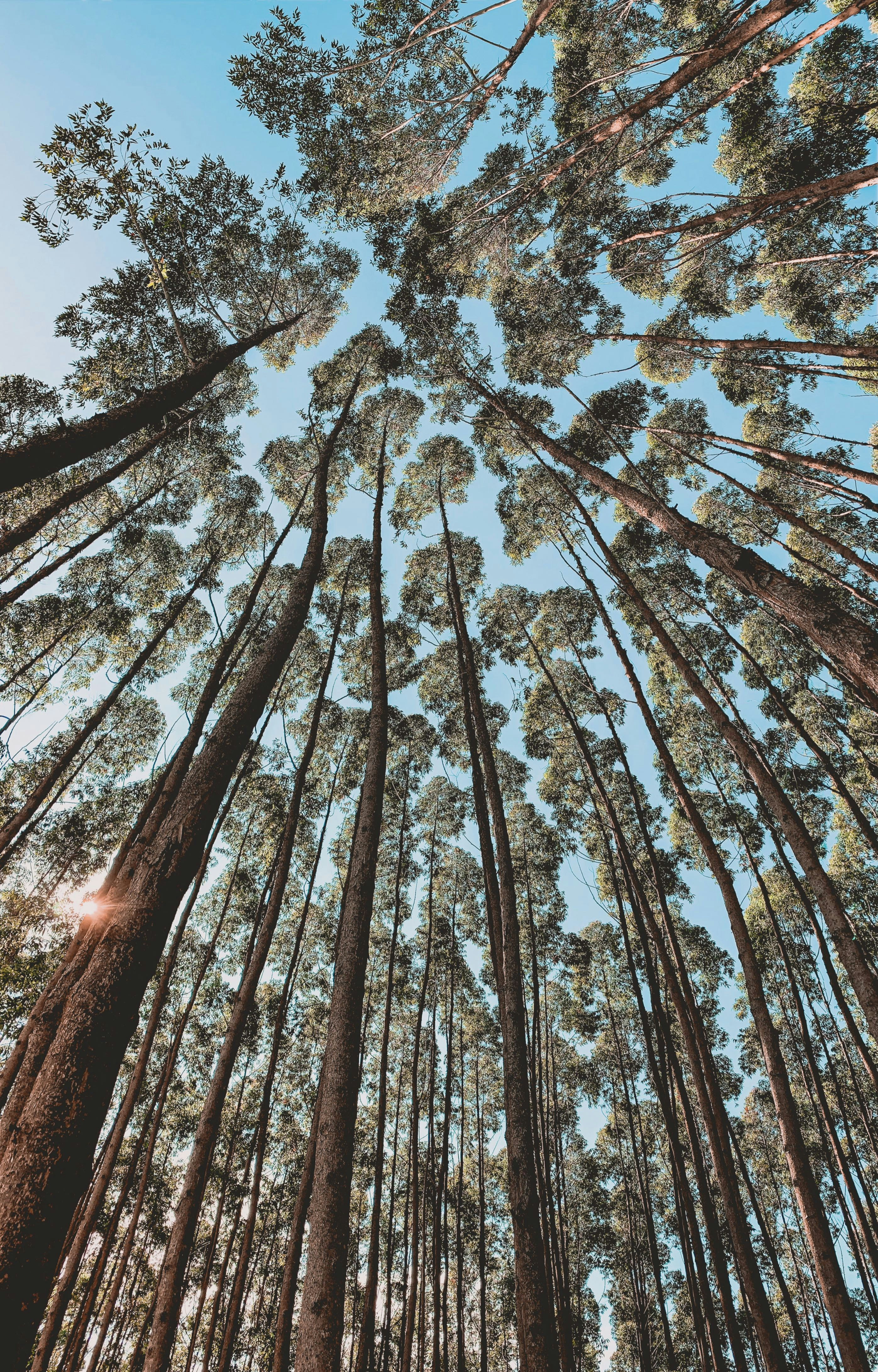 Photo by emileteninha