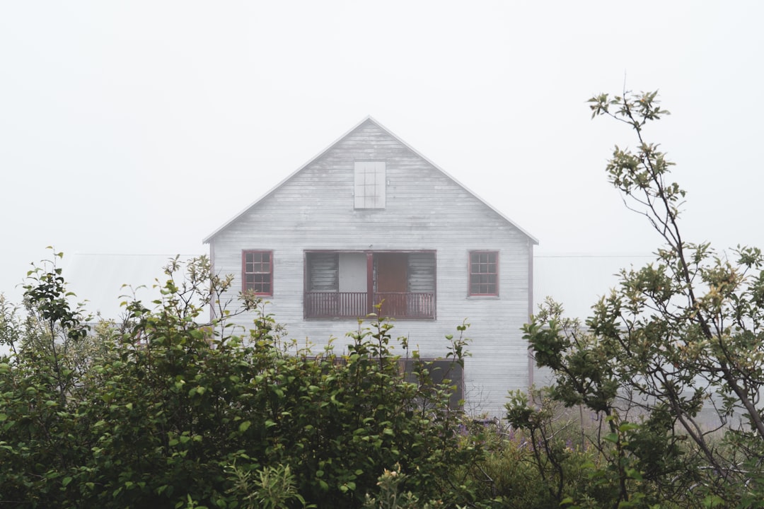 white and gray house near shoreline