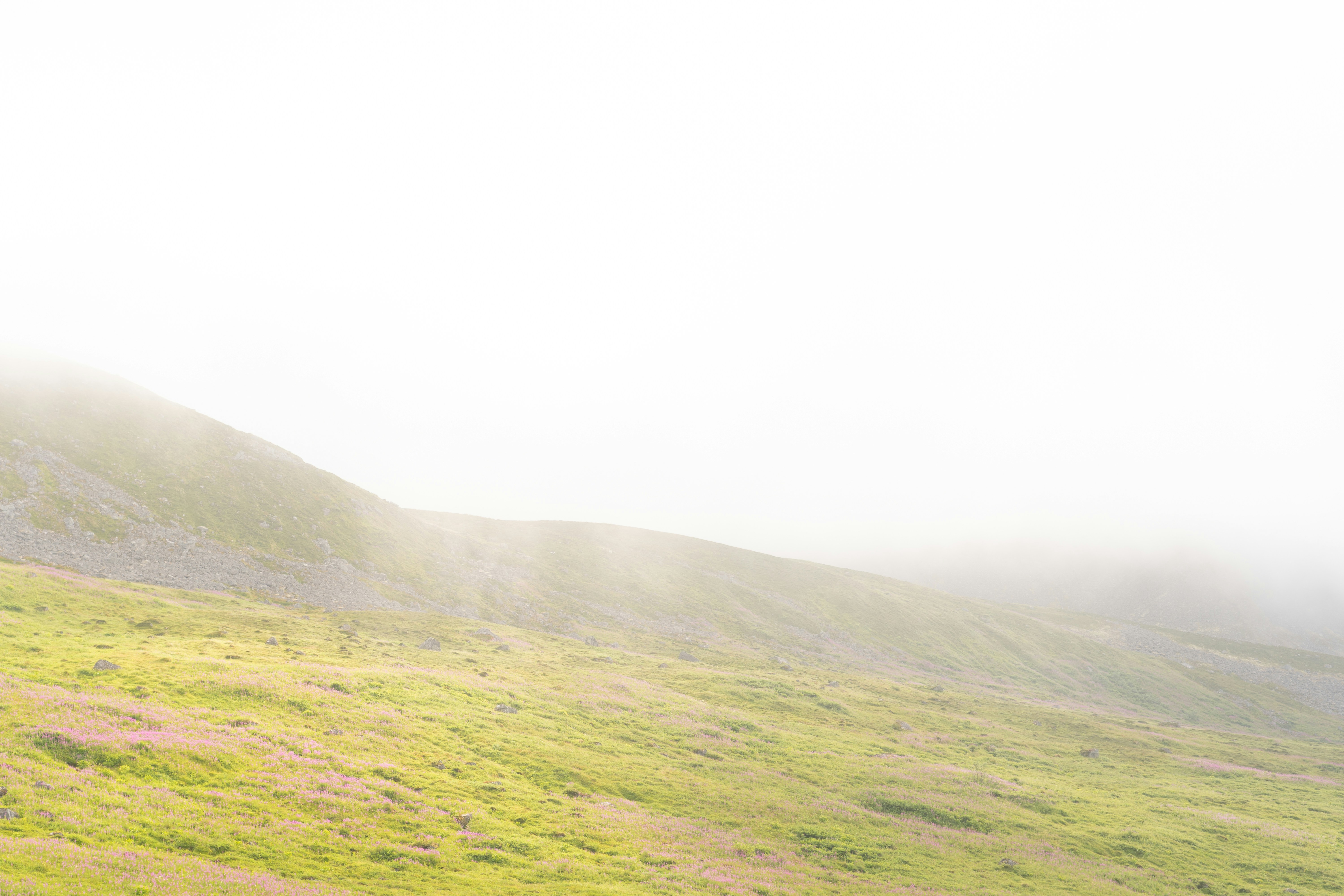 Photo by jaron_mobley