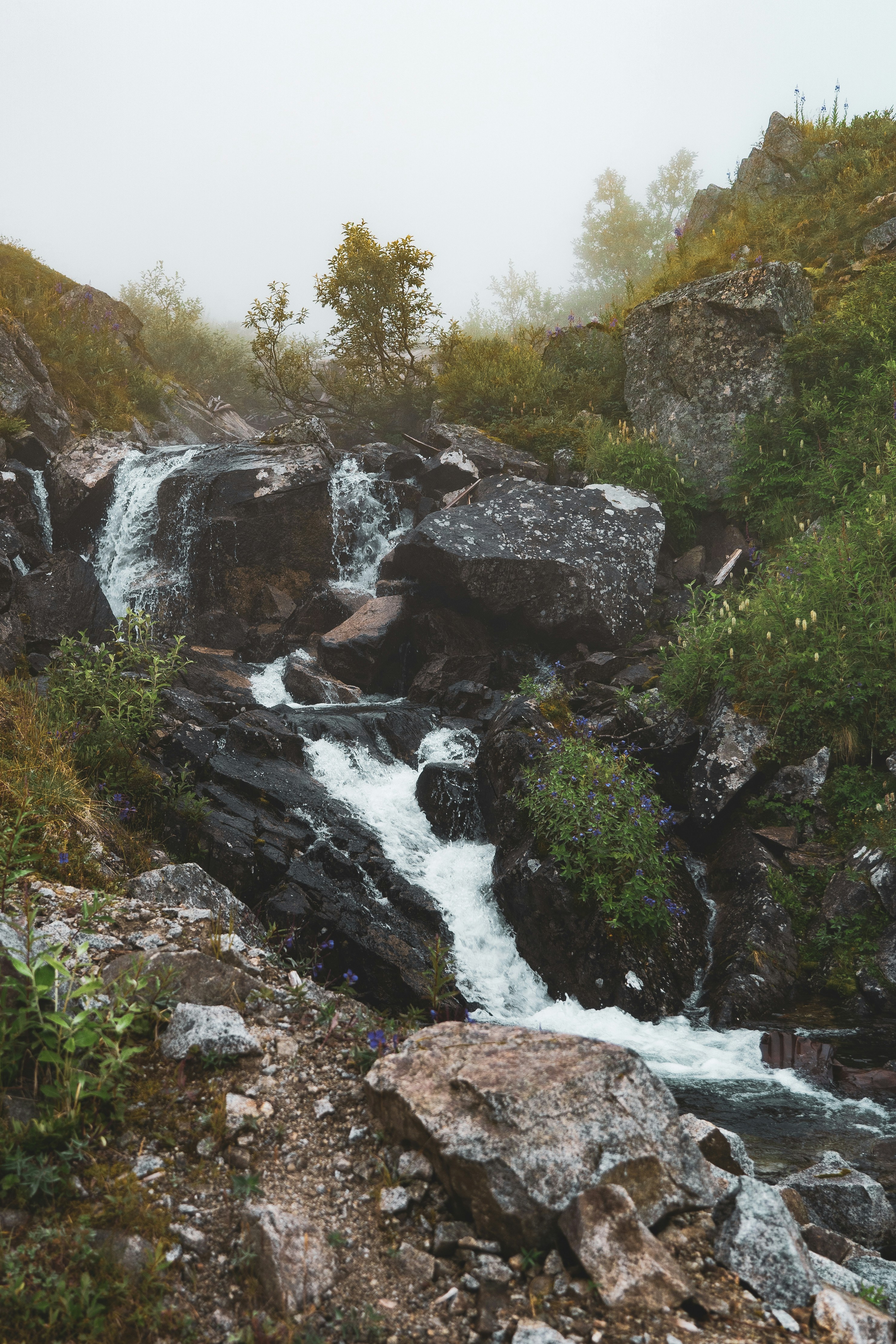 Photo by jaron_mobley