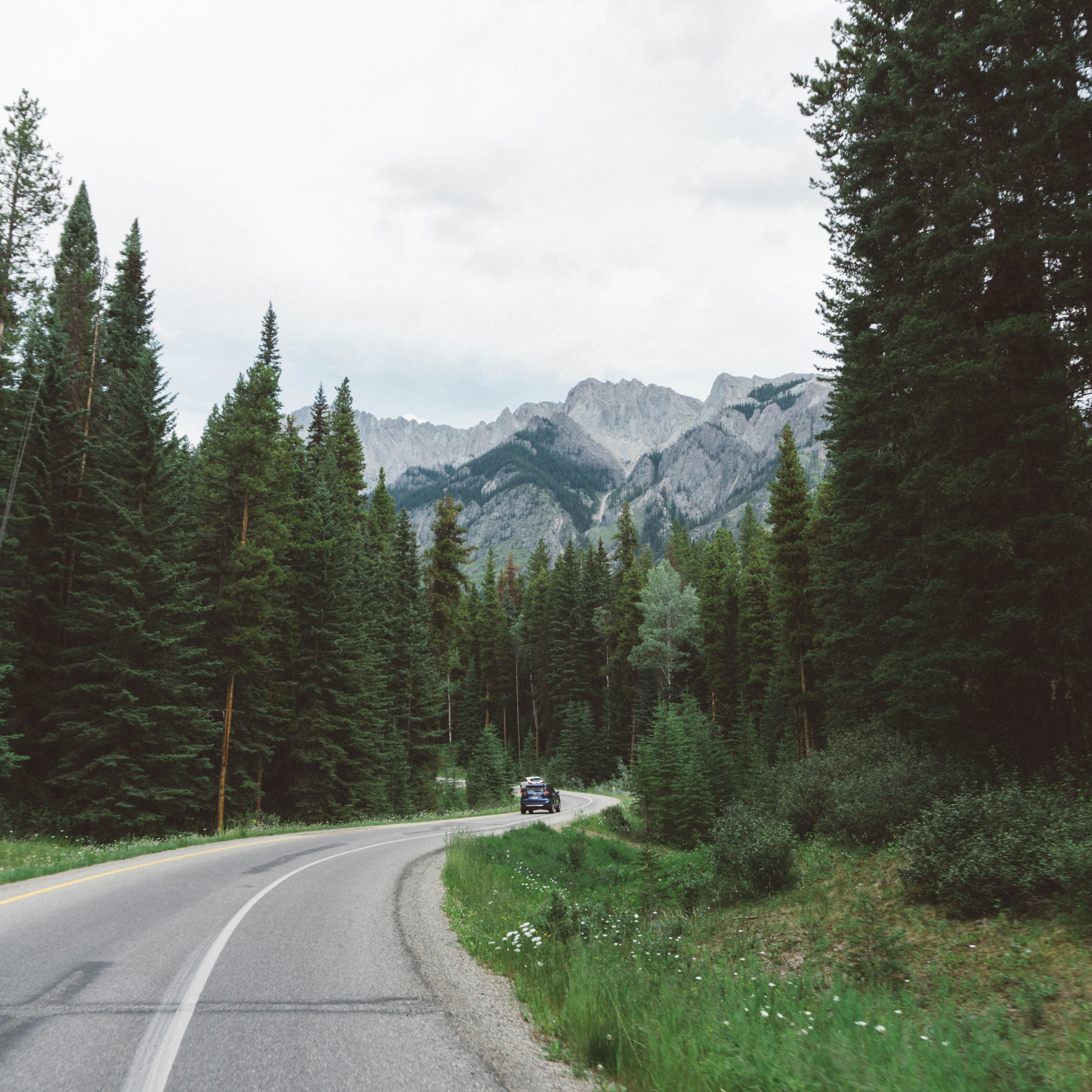 Photo by beer_drinker649