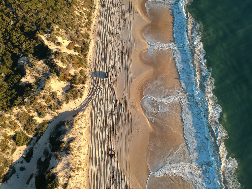 aerial view of seashore