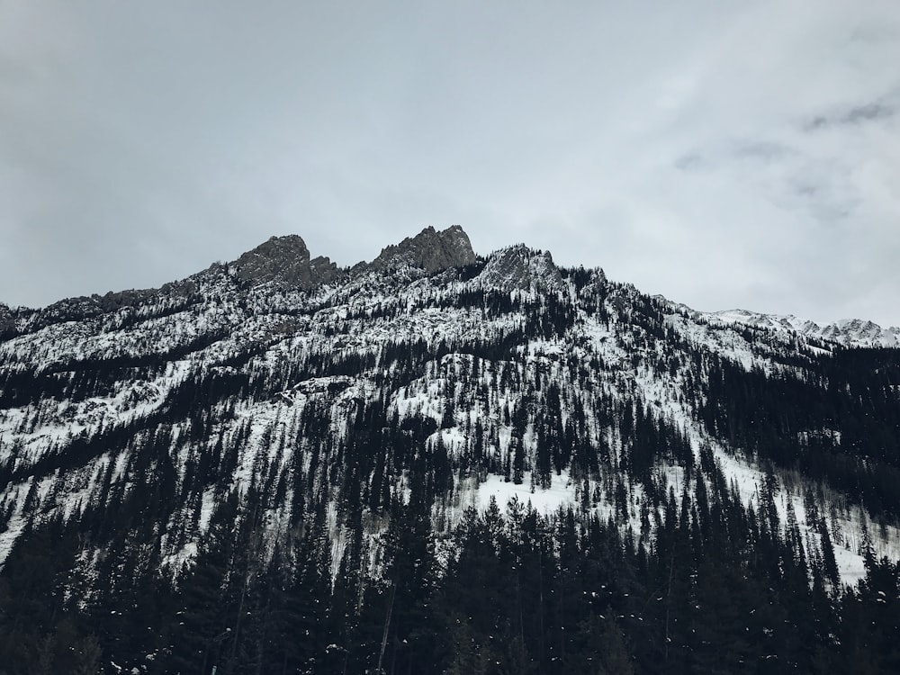 low angle photography of mountain during daytime