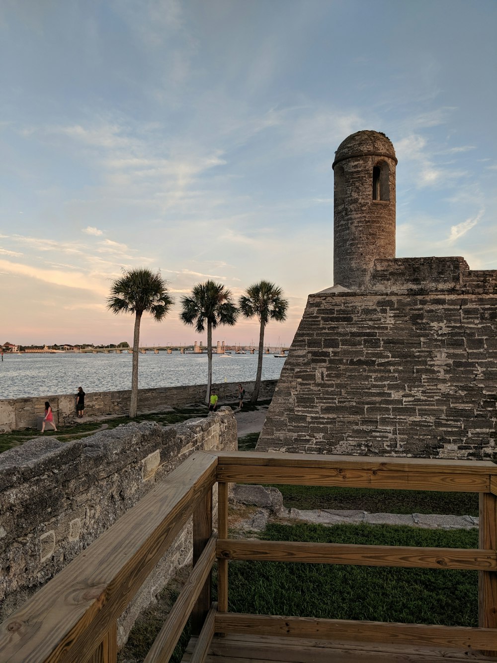 three palm trees near stone wall