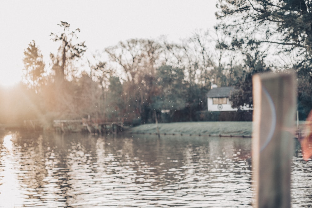 white house by a lake