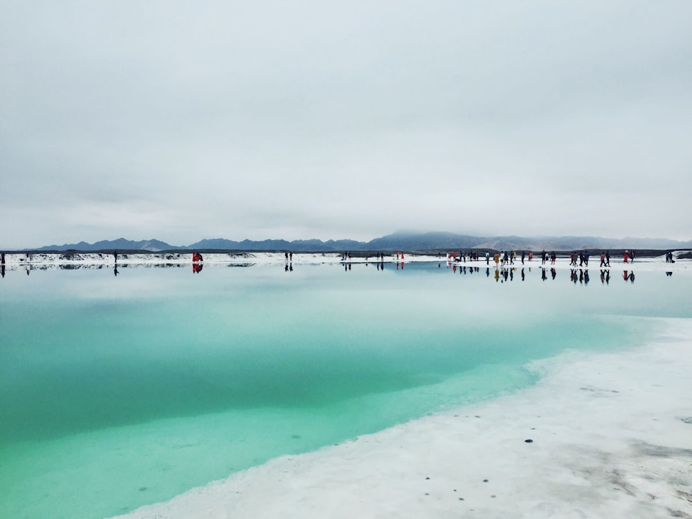 body of water and seashore