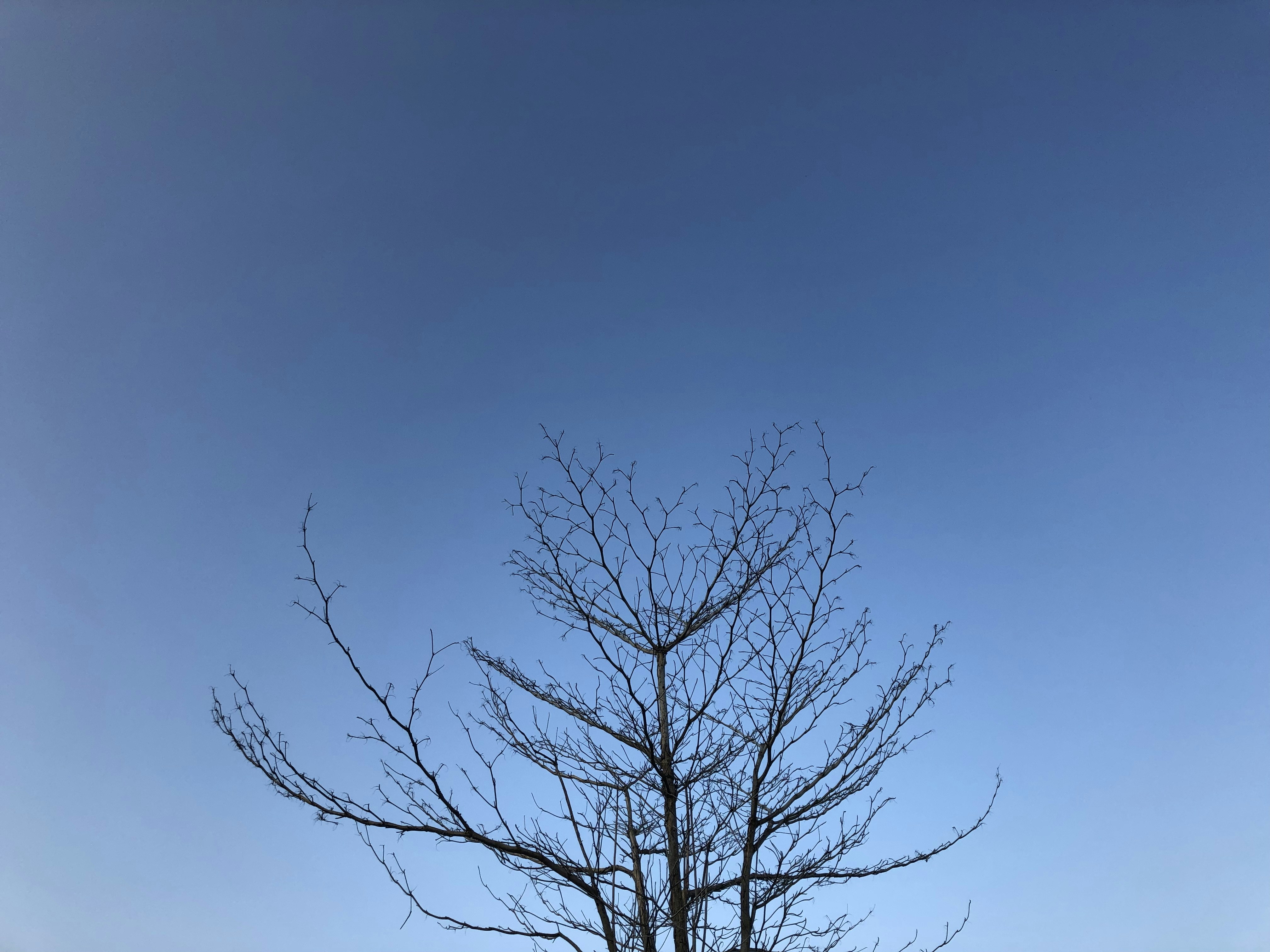 Photo by musaalfarisi