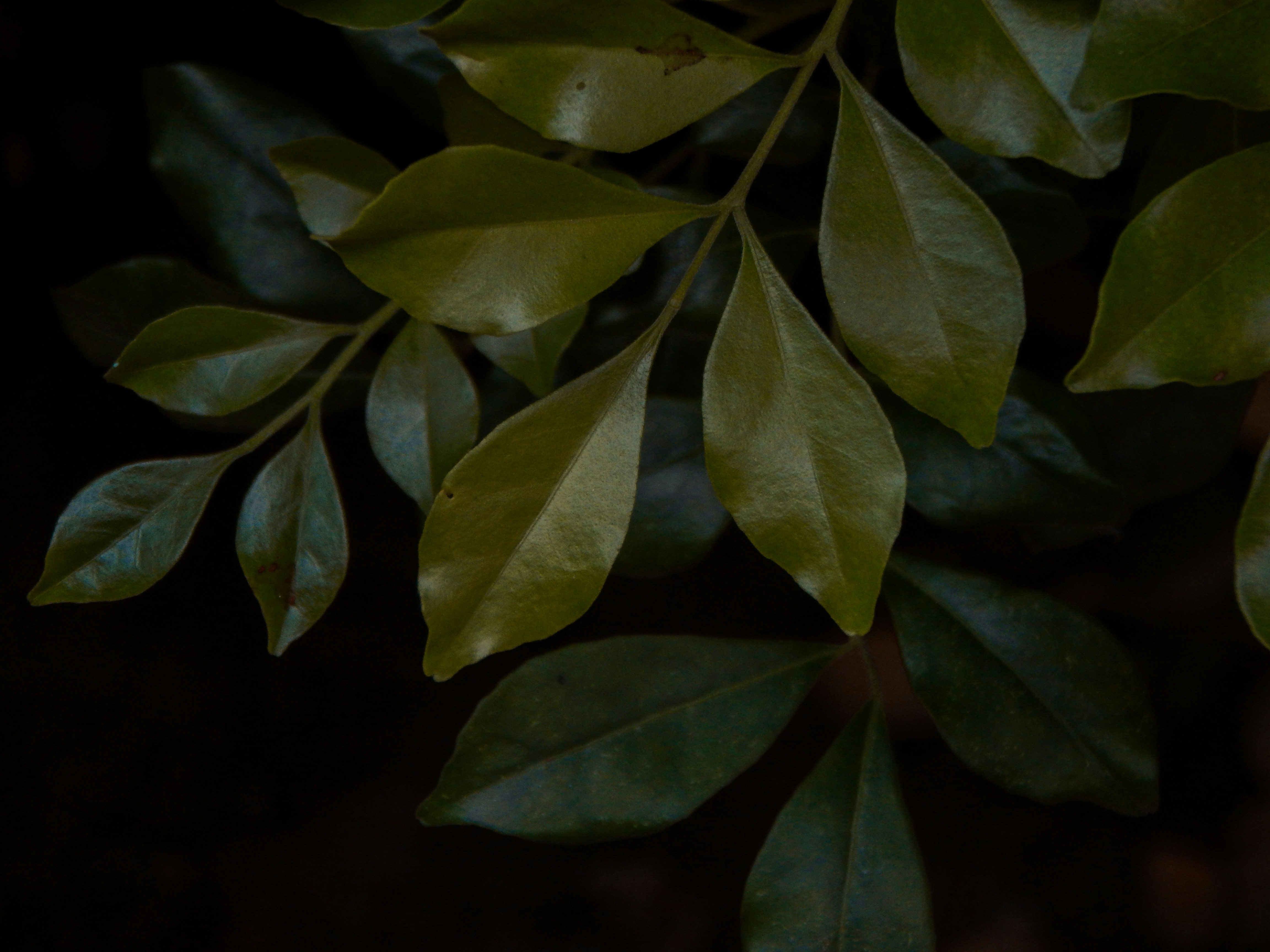 Photo by its__strange__