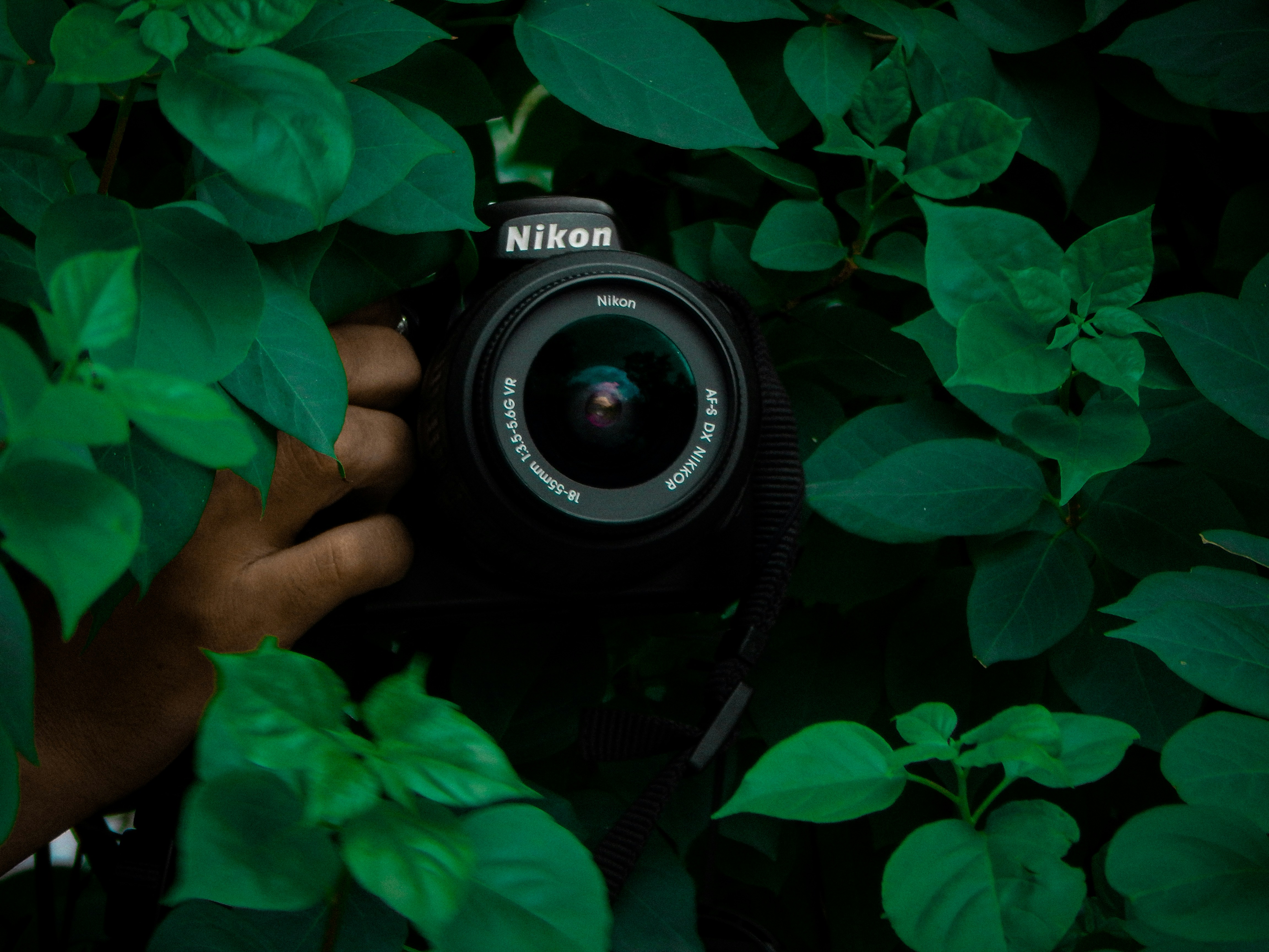 Photo by its__strange__