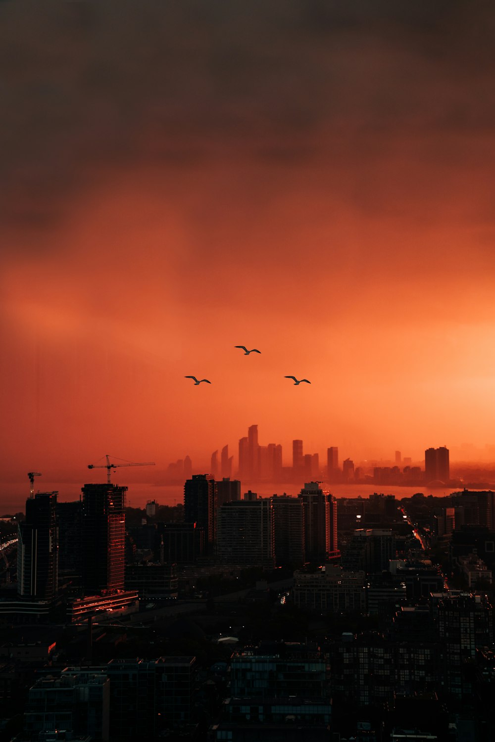 Foto di edifici della città durante il tramonto