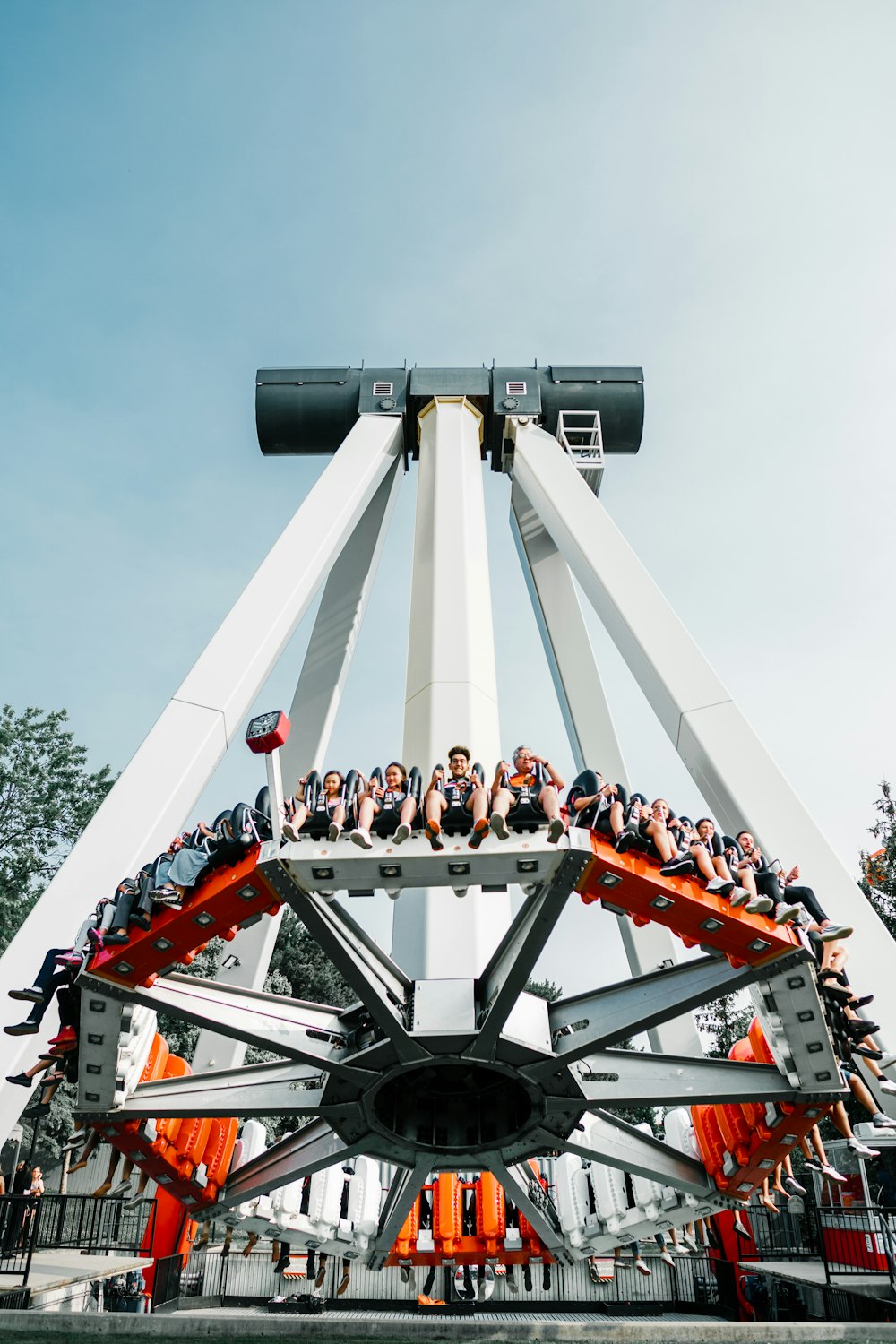 people on round swing photo